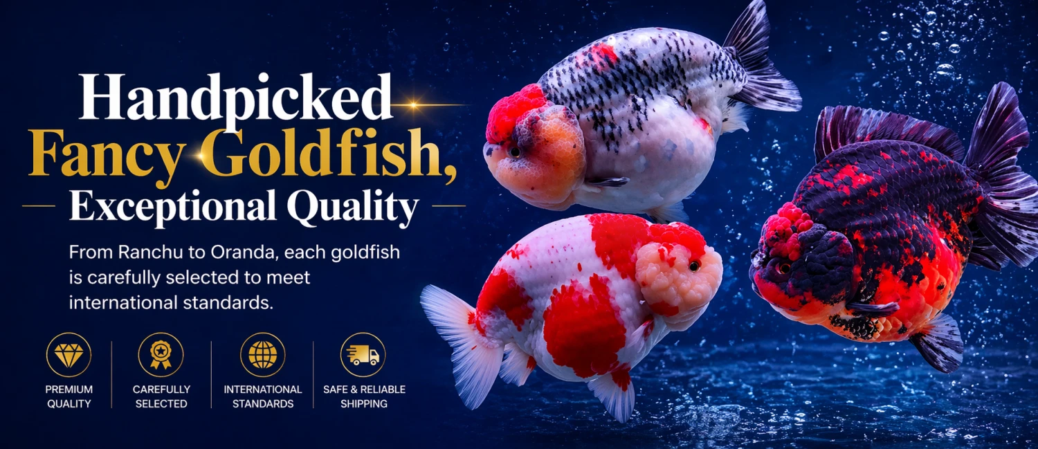 GoldFishID System promo